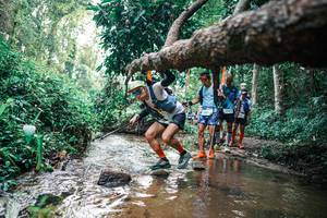 BIB: 
                            <button type="button" onclick="openModal(25369744)" class="btn btn-primary btn-sm float-right btn-popup" data-toggle="modal" data-target=".modal-high-quality">
                        <i class="fas fa-shopping-cart"></i> Add to Cart
                    </button>
                                            <button type="button" onclick="isThisMe(25369744, true)" class="btn btn-success btn-sm float-right btn-popup btn-isme hidden" data-toggle="tooltip" data-placement="bottom" title="นี่คือรูปของคุณใช่ไหม คลิกที่นี่เพื่อเอาเข้าอัลบั้ม">
                        <i class="fas fa-plus"></i> Add to album
                    </button>
                    <button type="button" onclick="isThisMe(25369744, false)" class="btn btn-warning btn-sm float-right btn-popup btn-isnotme hidden">
                        <i class="fas fa-ban"></i> Remove from album
                    </button>